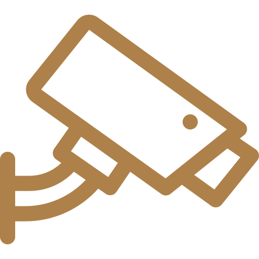 Exterior security cameras (front garden & parking) Icon
